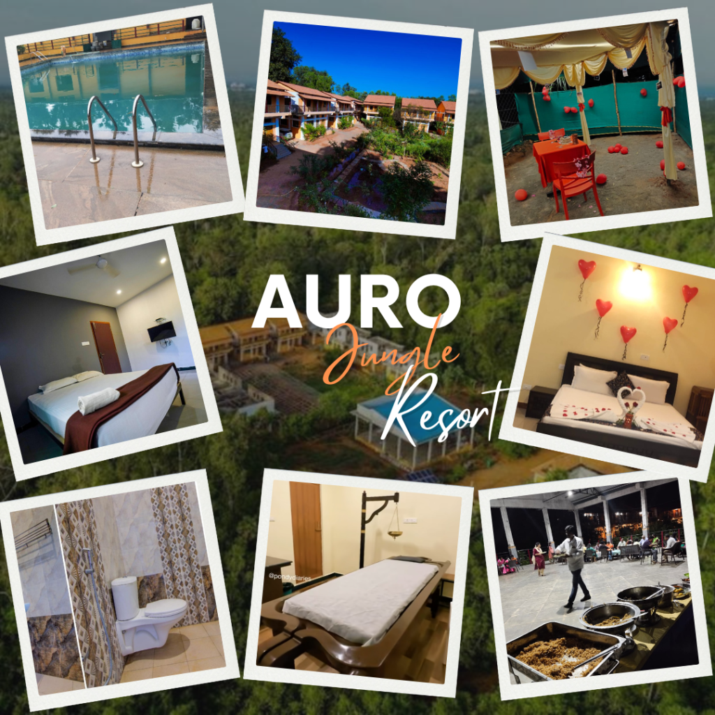 Auro Jungle Resort (1)